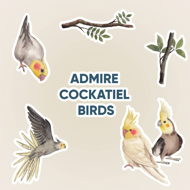 Modello di adesivo con concetto uccello cockatiel, acquerello styl - Vettoriali, immagini