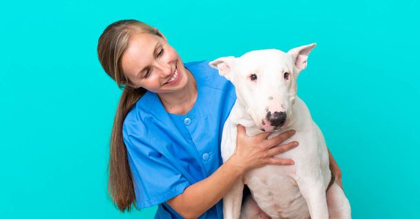 Young veterinarian English woman with dog - 写真・画像