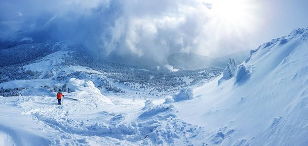 Panoramic landscape of a snowy forest in the mountains on a sunny winter day whis. Ukrainian Carpathians, near Mount Petros, there is one tourist. - Фото, зображення