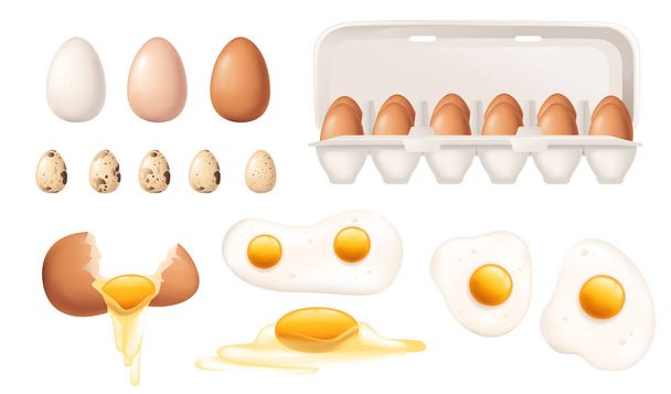 Gran conjunto de diferentes huevos ilustración vectorial sobre fondo blanco - Vector, imagen
