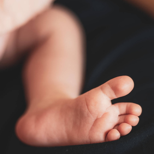 The feet of the newborn on dark background. Newborn babys fingers close up, selective focus. - 写真・画像