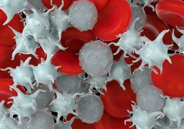 赤血球活性化血小板白血球顕微鏡写真 - 写真・画像