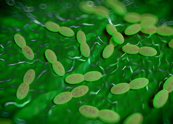 representación 3d - bacterias acetobacter - Foto, Imagen