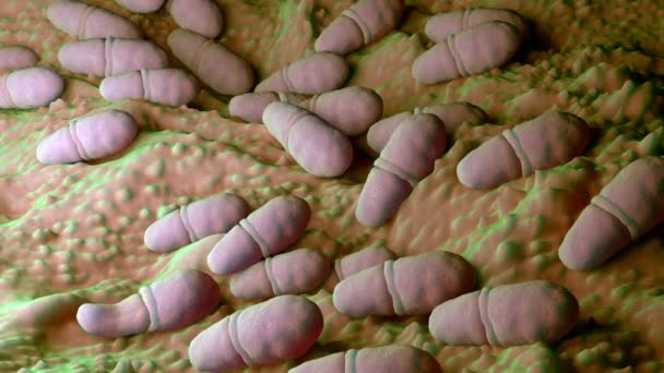 Malassezia грибок кожи крупным планом - Кадры, видео