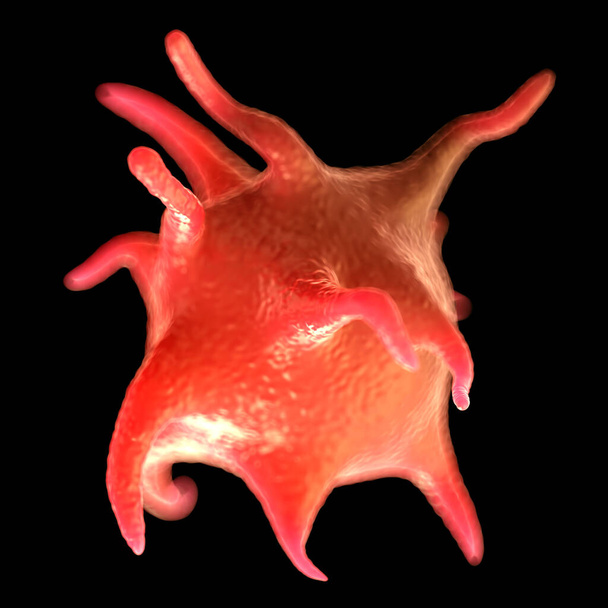 illustration plaquettaire sanguine activée de photos microscopiques - Photo, image