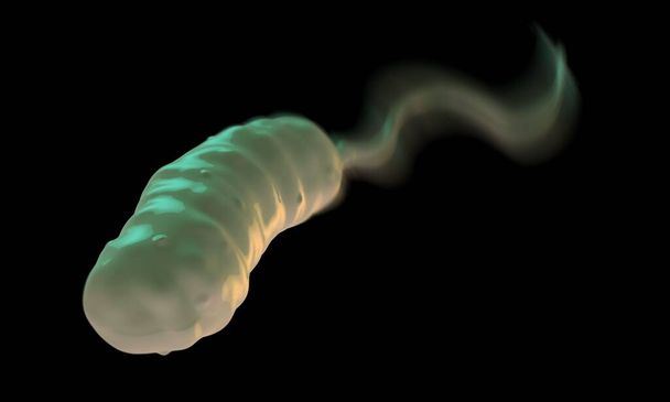 Эти грамотрицательные бактерии в форме стержня имеют один полярный flagellum.They являются причиной холеры, инфекции тонкой кишки, которая передается людям через загрязненную пищу или воду - Фото, изображение