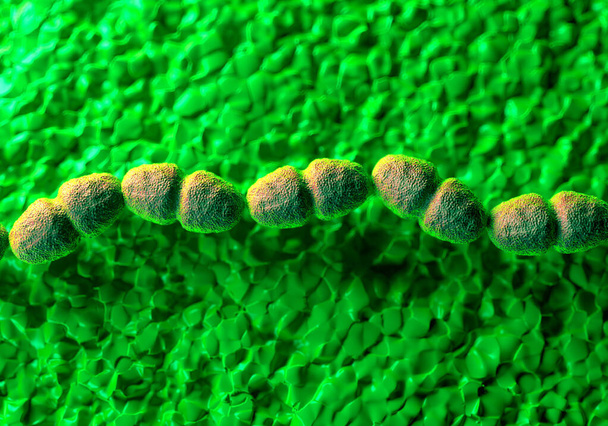 Enterococcus faecalis batteri noti come Streptococcus faecalis. Questi batteri sono cocchi arrotondati o di forma ovale, visto qui tipicamente formando catene di cellule - Foto, immagini