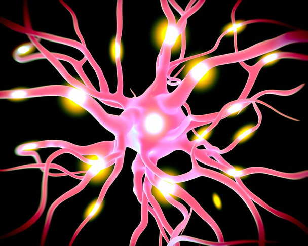 Konzept von Neuronen und Nervensystem. - Foto, Bild