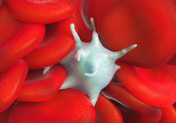 Rote Blutkörperchen, aktivierte Blutplättchen und weiße Blutkörperchen mikroskopische Fotos - Foto, Bild