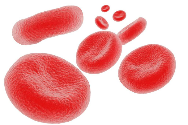 kırmızı kan hücreleri yüksek detay çizimi  - Fotoğraf, Görsel