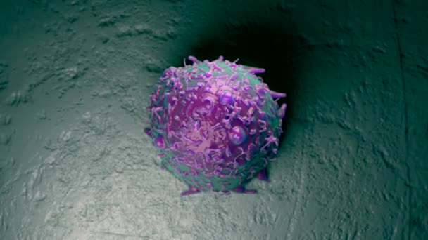 3d de células madre mesenquimales - Metraje, vídeo