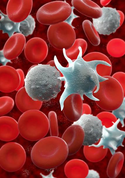 Kırmızı kan hücreleri, aktif trombosit ve beyaz kan hücreleri mikroskobik fotoğraflar. - Fotoğraf, Görsel