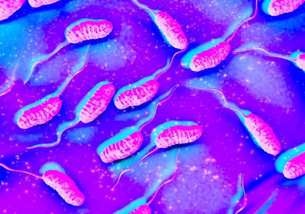 3D-Illustration von Cholera-Bakterien - Foto, Bild