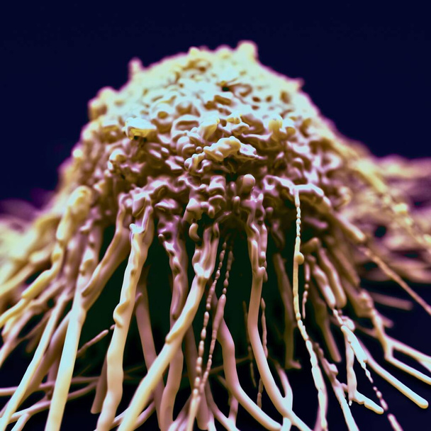 3d illustratie - Kankercel - Foto, afbeelding