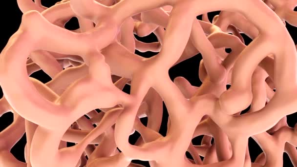 3D detailní záběr kostní tkáně - Záběry, video