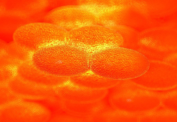 Acetobacter aceti бактерии, которые используются в производстве уксуса - Фото, изображение