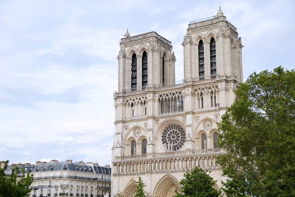 Katedra Notre Dame, Paryż, Francja - Zdjęcie, obraz