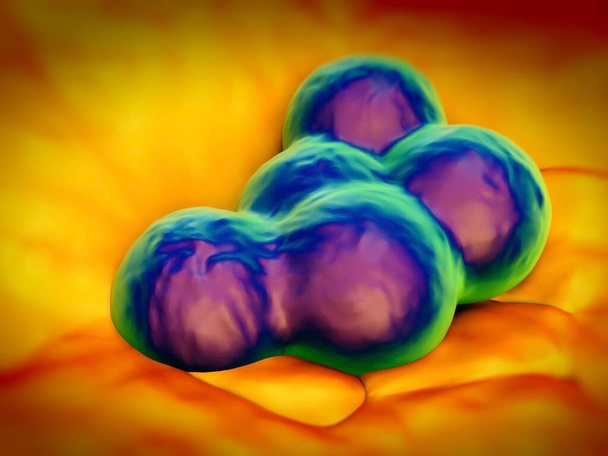 szuperbogár vagy Staphylococcus aureus (MRSA) baktériumok - Fotó, kép