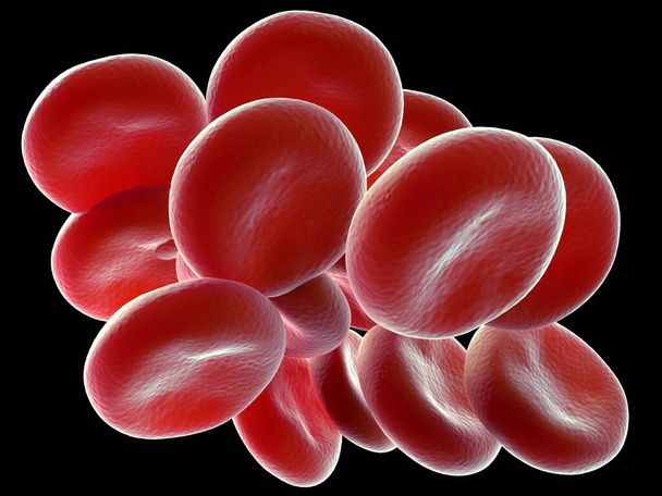 3d illustratie - Menselijke rode bloedcellen - Foto, afbeelding