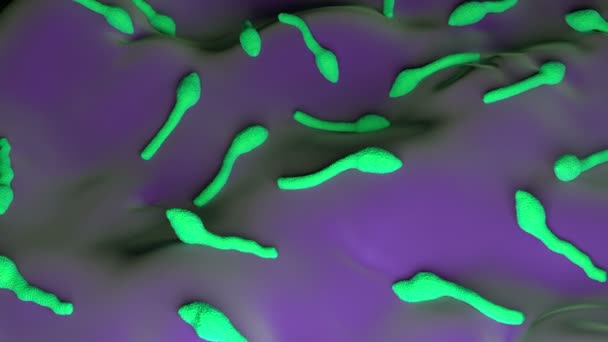 3D Clostridium Tetani Bakterisi - Video, Çekim