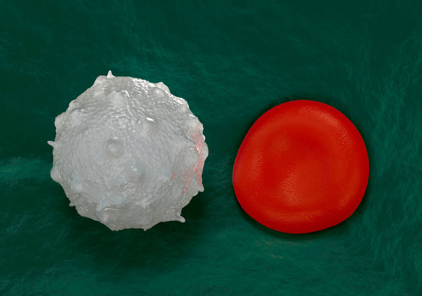 glóbulos rojos, plaquetas activadas y glóbulos blancos fotos microscópicas - Foto, Imagen