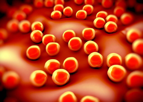 superbug nebo bakterie Staphylococcus aureus (MRSA) - Fotografie, Obrázek