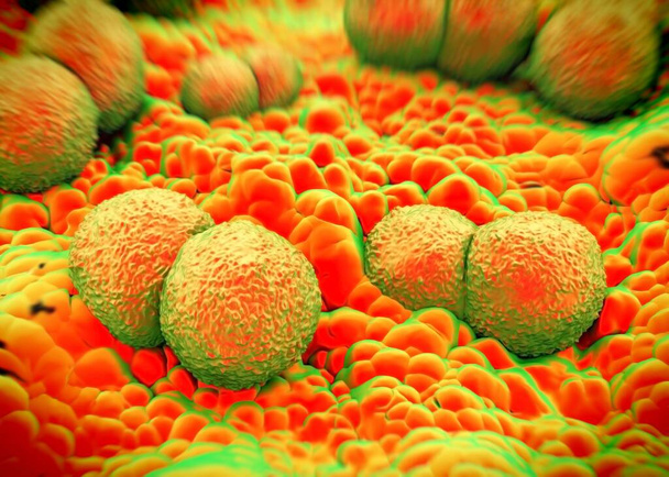 3Dレンダリング-ネイセリアの淋病菌 - 写真・画像