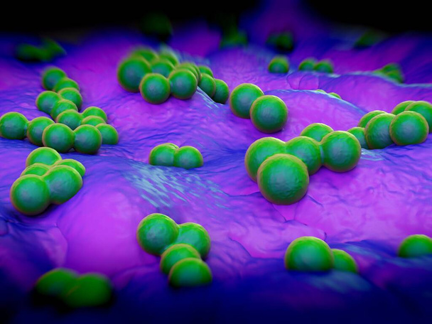 superbug or Staphylococcus aureus (MRSA) bacteria - Photo, Image