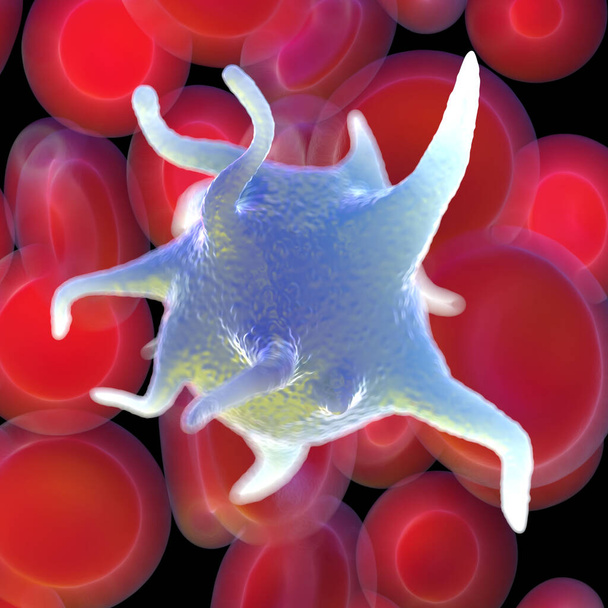赤血球活性化血小板白血球顕微鏡写真 - 写真・画像