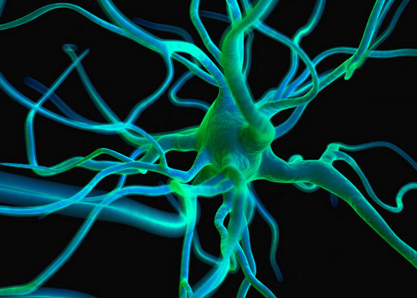 Neuron of zenuwcellen die deel uitmaken van het zenuwstelsel en die informatie verwerken en doorgeven door middel van elektrische en chemische signalering. - Foto, afbeelding