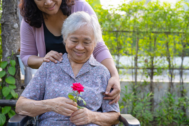 Дочь-сиделка обнимает и помогает азиатской пожилой или пожилой старушке держать красную розу на инвалидной коляске в парке. - Фото, изображение