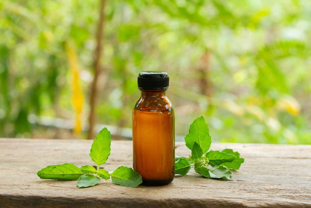 Holy Basil or Tulsi Essential Oil in bottle with Branch of Holy Basil on wooden with blur background on sunny day. - Photo, Image