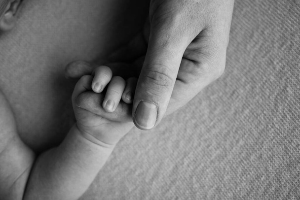 Yeni doğan bebek, doğumdan sonra ebeveyn parmağına sıkı sıkıya tutunur. Çocuğun küçük eli ve anne ve babanın avuç içi. Ebeveynlik, çocuk bakımı ve sağlık hizmeti konsepti. Siyah beyaz fotoğraf. - Fotoğraf, Görsel