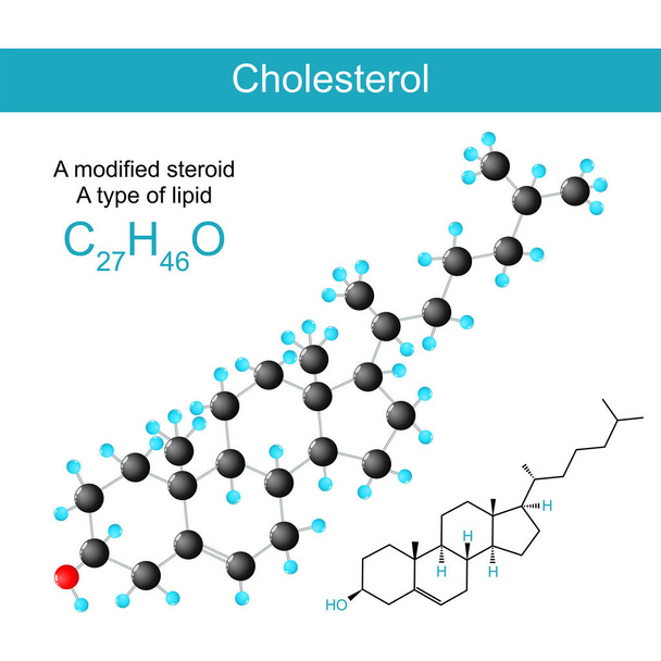 Formula strutturale chimica molecolare del colesterolo e modello di uno sterolo (o steroide modificato). tipo di lipidi. Illustrazione vettoriale - Vettoriali, immagini