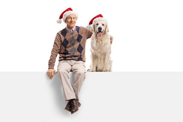 Elderly man with a labrador retriever dog wearing christmas santa hats and sitting on a panel isolated on white background - Fotoğraf, Görsel