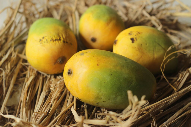 Die Gir Kesar Mango, auch Kesar genannt, ist eine Mangosorte, die in den Ausläufern des Girnar in Gujarat, Westindien, angebaut wird. Es ist für sein leuchtend orangefarbenes Fruchtfleisch bekannt. Schuss mit Heu im Hintergrund. - Foto, Bild