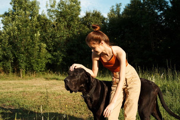 Yazın tarlada köpek dostluğuyla oynayan bir kadın. - Fotoğraf, Görsel