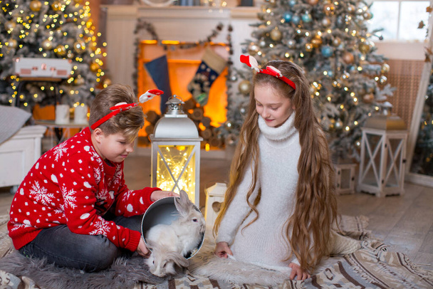 Un niño y una niña han abierto una caja de regalo en la que están sentados dos lindos conejitos de Navidad. Decoraciones de Año Nuevo - chimenea, árboles de Navidad con guirnaldas - Foto, imagen