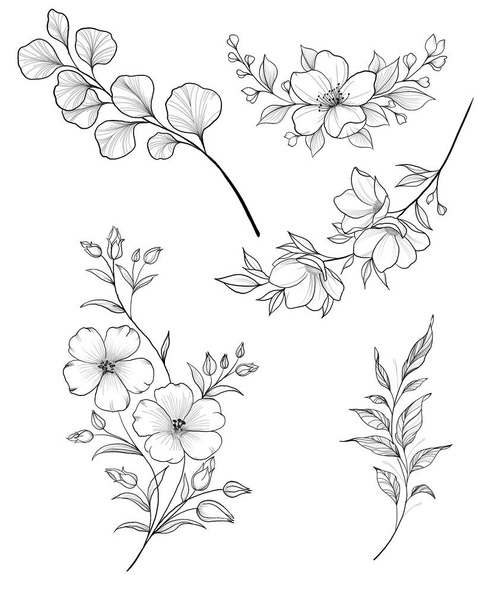 Hand drawn branch of sakura with blooms, flowers, leaves, petals. Modern line art style. Botanical composition for card, invitation, logo, fabric print. - 写真・画像
