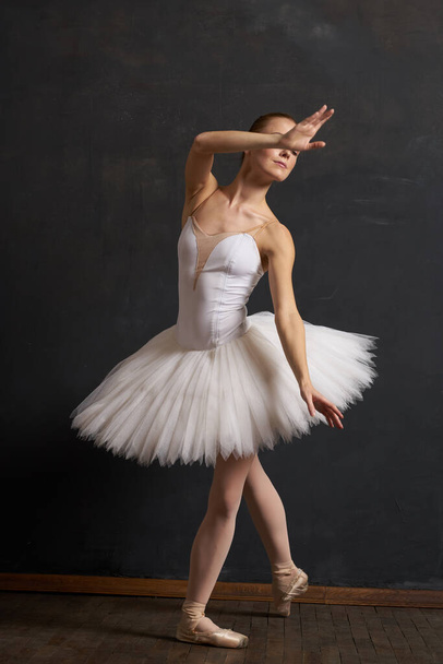 woman ballerina in a white tutu dance posing performance dark background - Valokuva, kuva