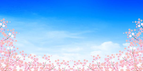 Cherry Blossoms Kevään kukka tausta
  - Vektori, kuva