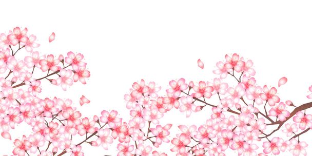 桜の花春の花背景  - ベクター画像