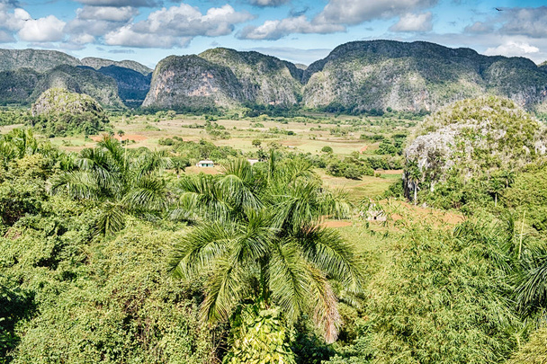 The Vinales valley is a lush agricultural area surrounded by mojotes or large stone mountains. - Foto, Imagem