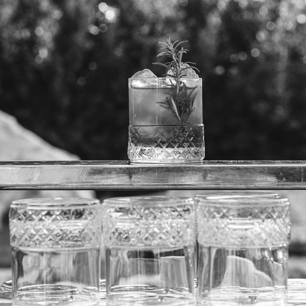 A grayscale closeup of the pomegranate rosemary gin cocktail. - 写真・画像