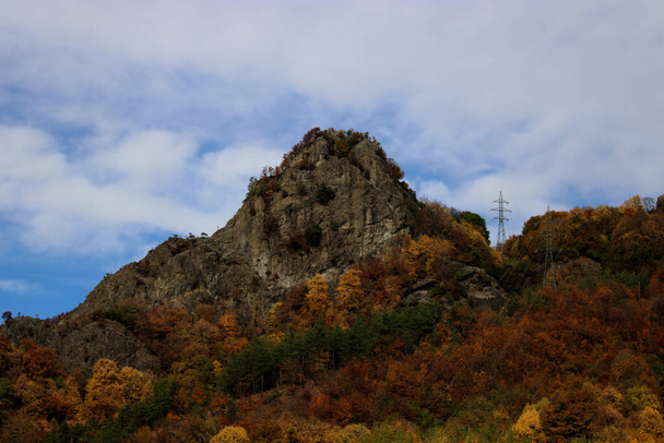A beautiful scenery of the amazing autumn colors near Cozia Olt River Valley - 写真・画像