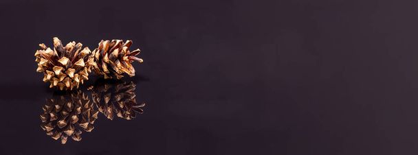 Close-up of two pine cones on dark reflecting ground - copy-space, panorama - Foto, Imagem