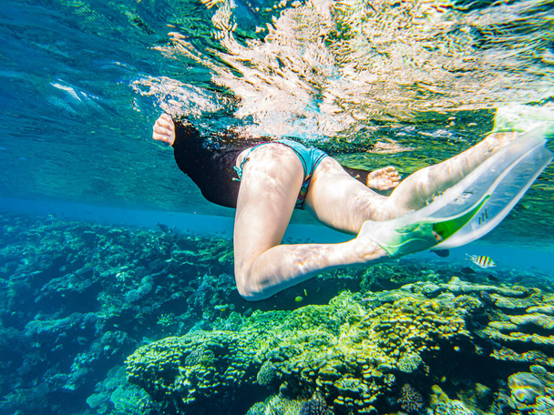 Kız denizde şnorkelle yüzüyor. Maskeli kız suyun altında yüzüyor.. - Fotoğraf, Görsel