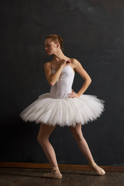 ballerina dance classic performance the dark background - Фото, зображення
