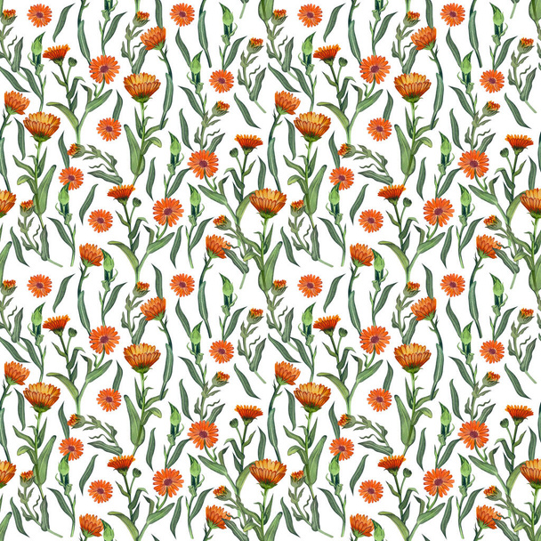 Seamless pattern with orange flowers and green calendula leaves on a white background hand-painted in watercolor. Suitable for printing textile design, scrapbooking, wallpaper and paper. - Photo, Image
