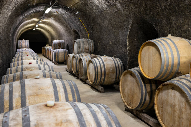 Wine cellars with barrels, traditional wine called Bikaver near Eger, Hungary - Photo, Image